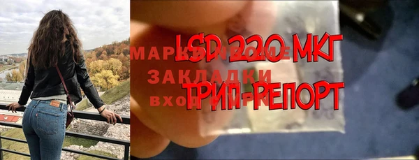 ГАЛЛЮЦИНОГЕННЫЕ ГРИБЫ Красноперекопск