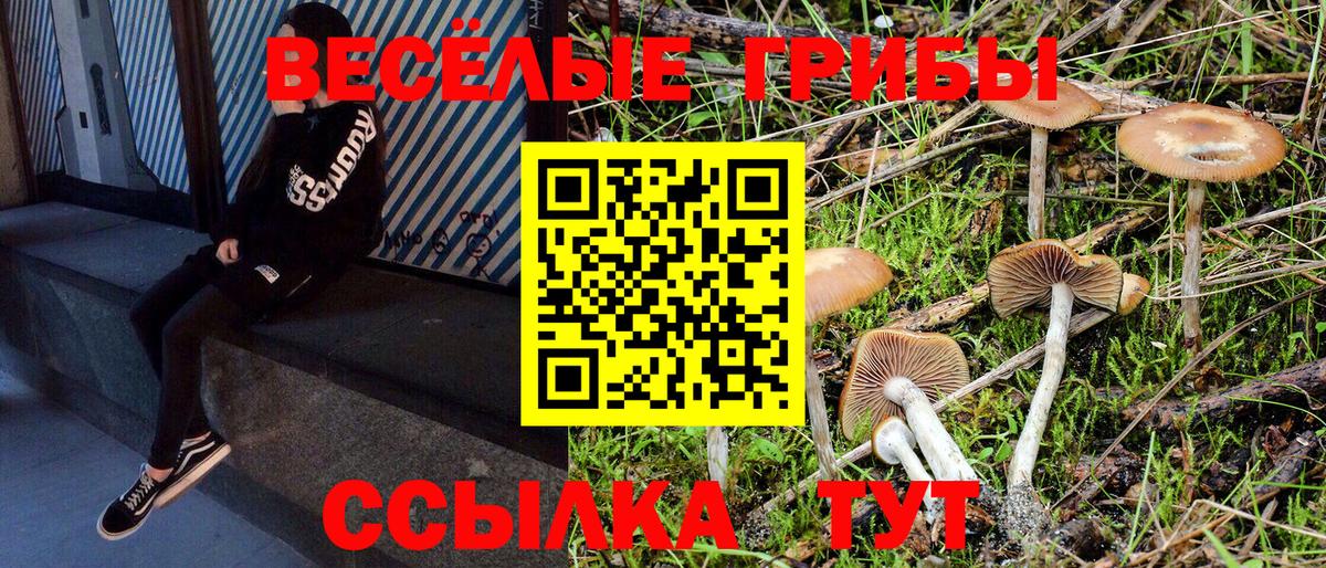 как найти закладки  Галлюциногенные грибы Magic Shrooms  Вход с VPN  Красный Сулин 